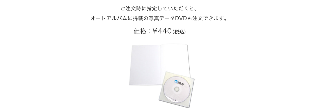 データDVD(オプション)