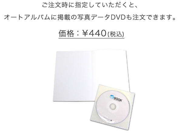 データDVD(オプション)