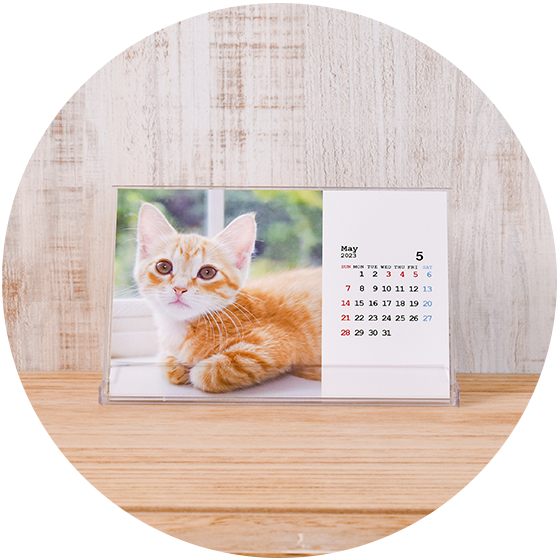 Postcard Calendar