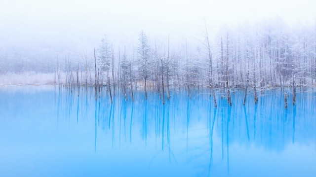 北海道「青い池」