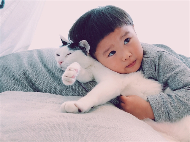 小さな猫男子、たいくん（3歳）と愛猫ザクロの毎日を写した優しい写真たち